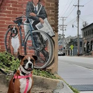 Meet your Posher, Laura